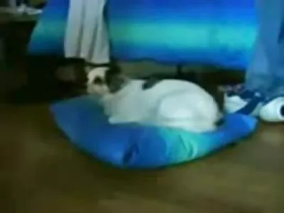 ថើប​ខ្ទុះ​របស់​មិត្ត​ស្រី